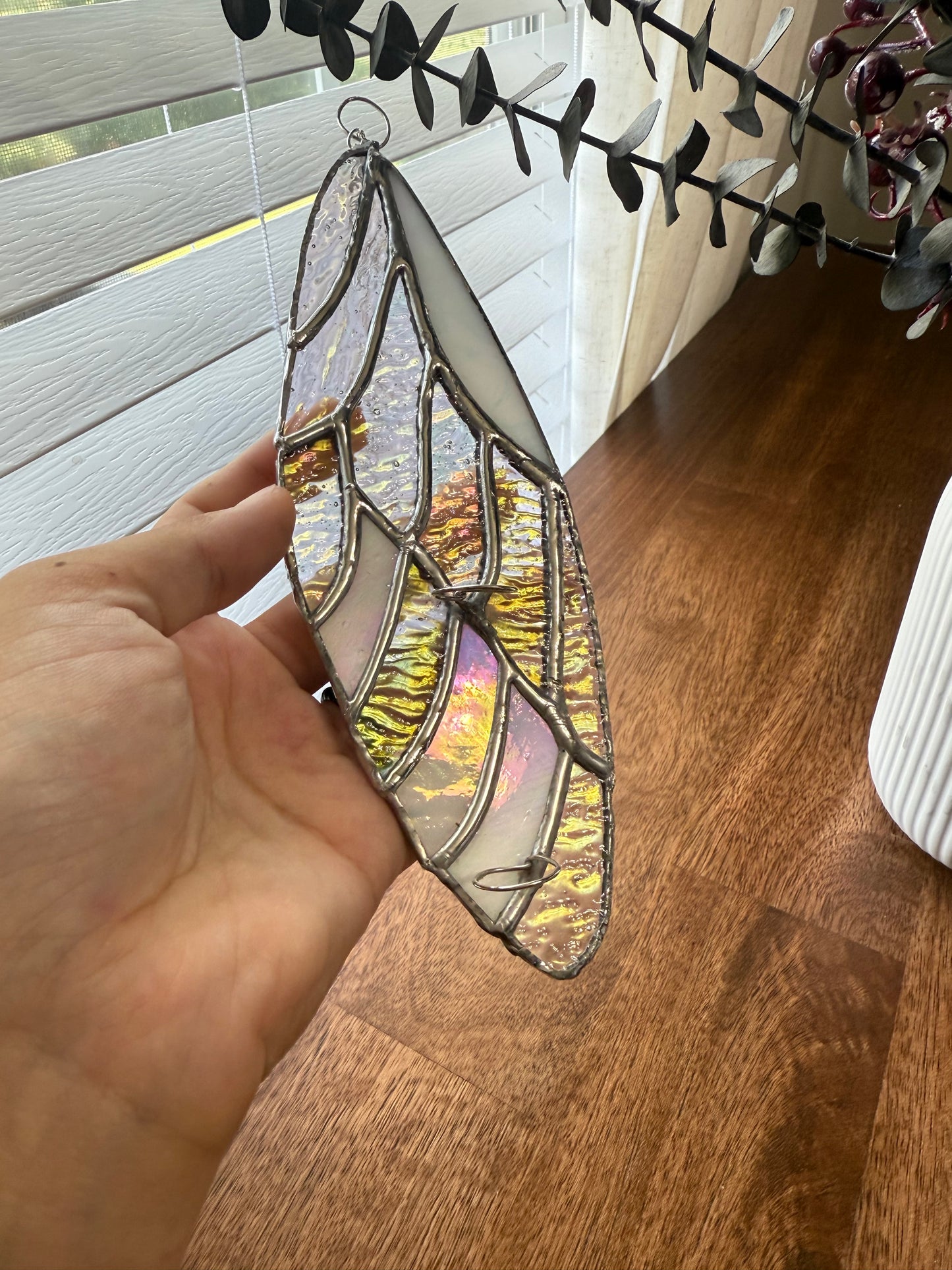 Angel Wing Stained Glass Plant Propagation