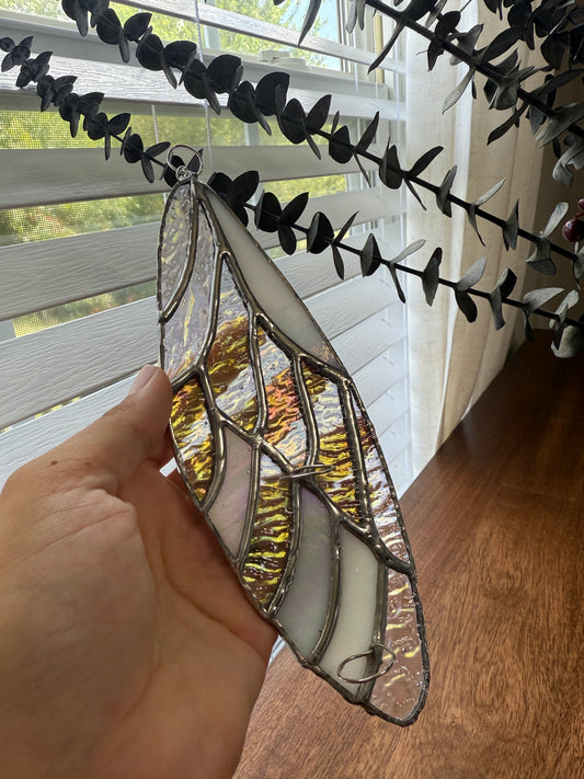 Angel Wing Stained Glass Plant Propagation
