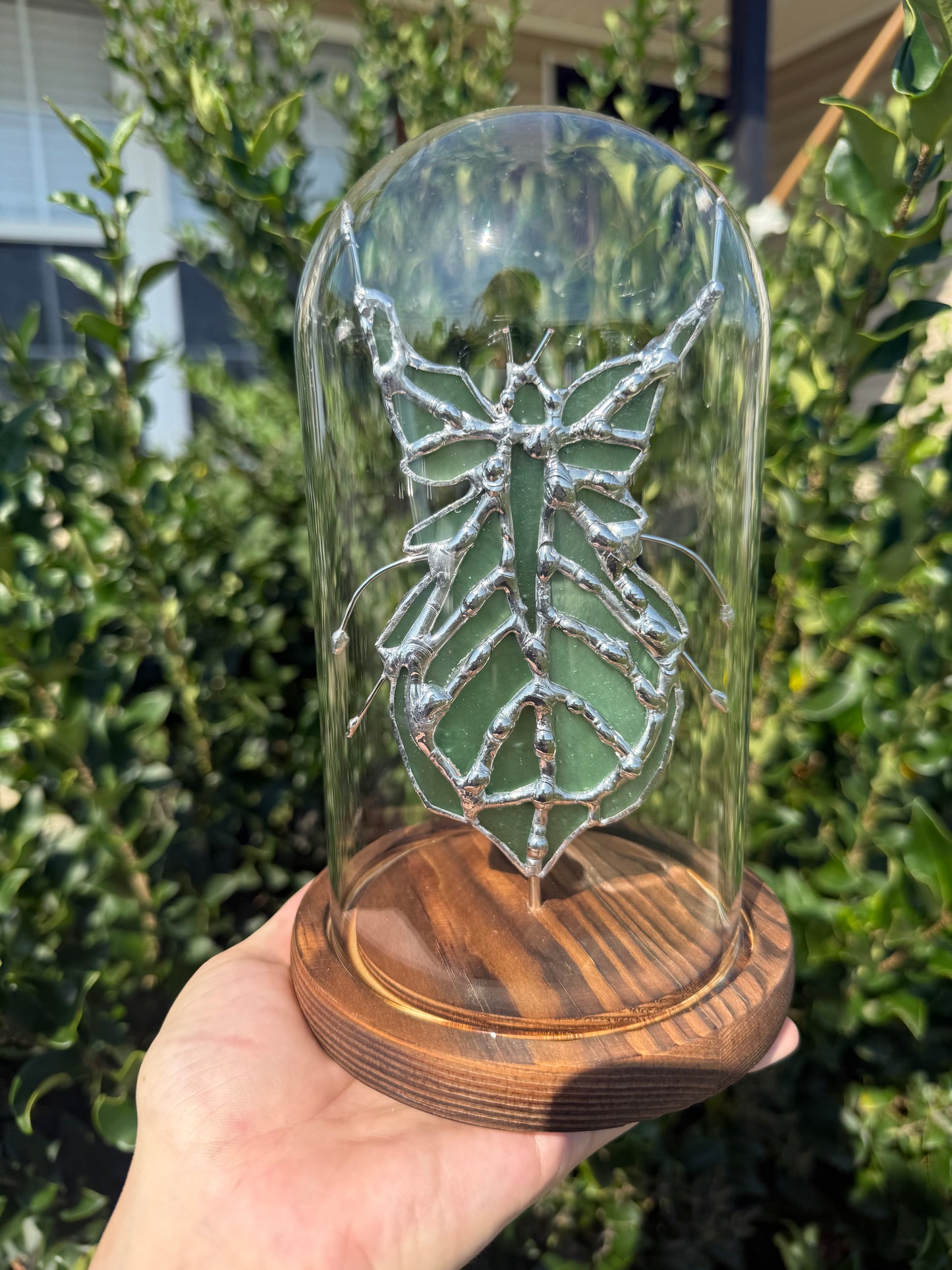 Prying Mantis Stained Glass Suncatcher Specimen