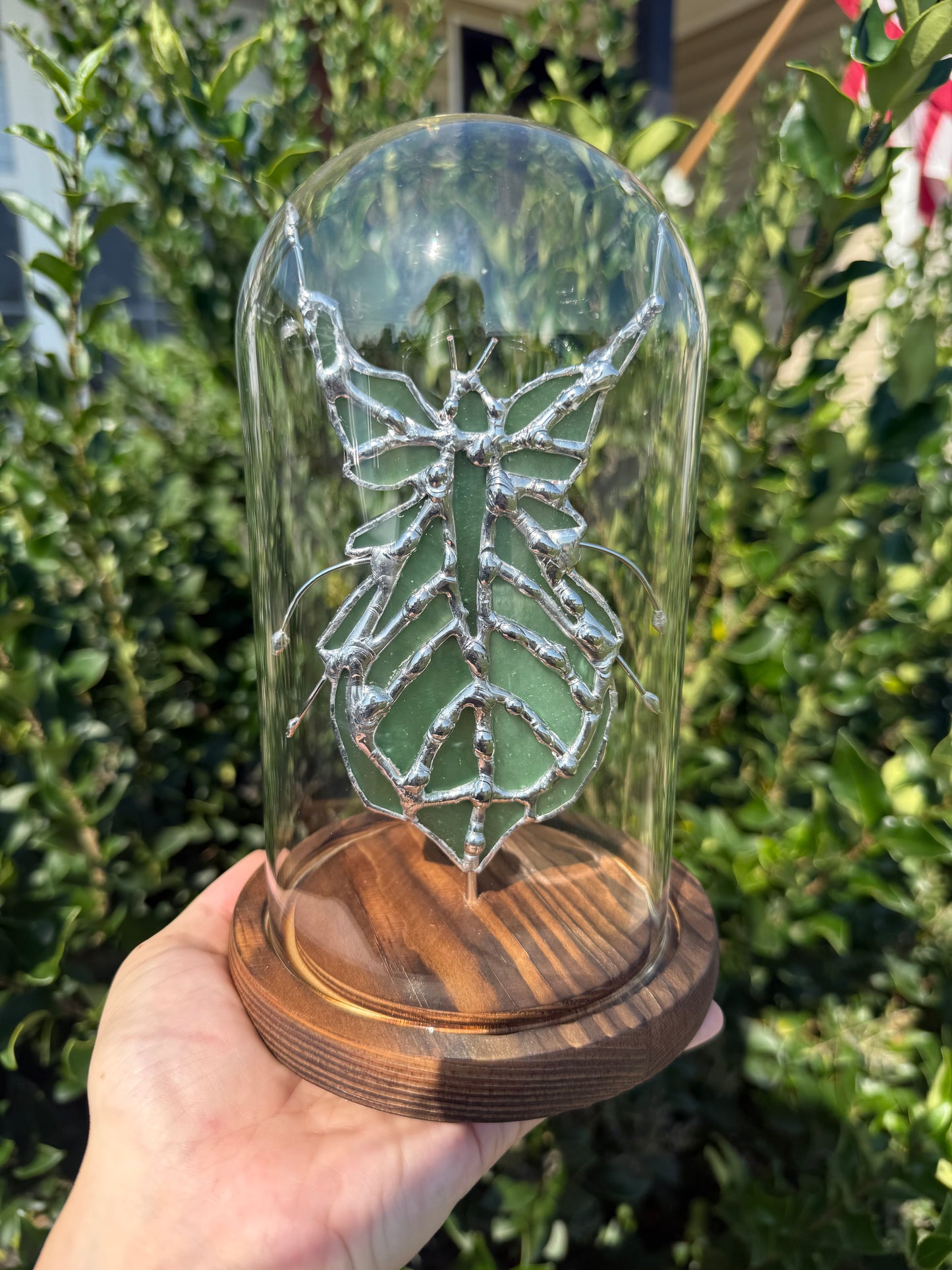 Prying Mantis Stained Glass Suncatcher Specimen