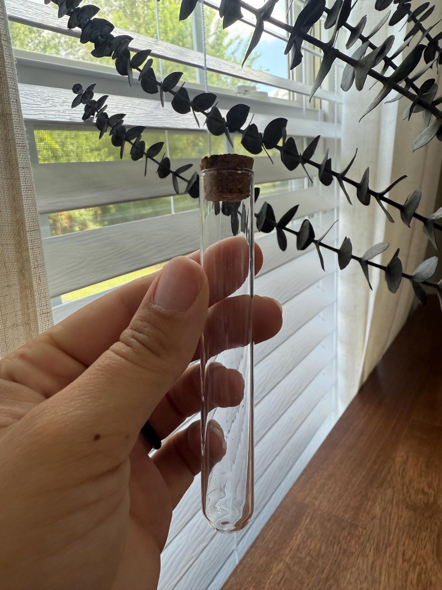 Spiderweb Stained Glass Plant Propagation Station: Gothic Window Decor